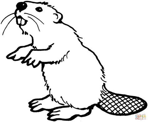 Coloring Pages Beavers