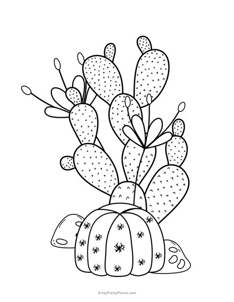 Coloring Pages Cactus