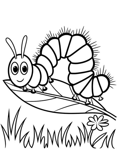 Coloring Pages Caterpillar