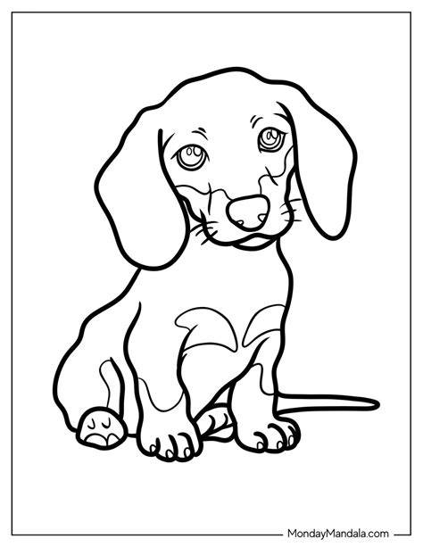 Coloring Pages Dachshund
