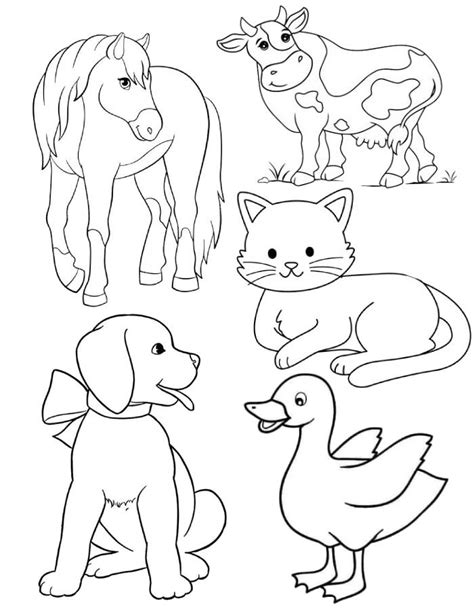 Coloring Pages Domestic Animals