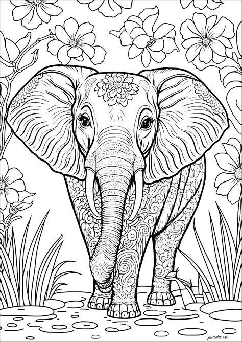 Coloring Pages Elephants