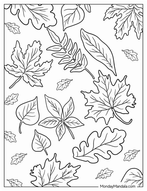 Coloring Pages Fall Leaves