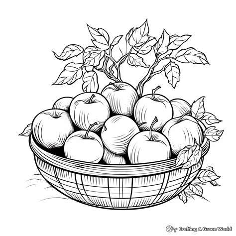 Coloring Pages For Adults Apple
