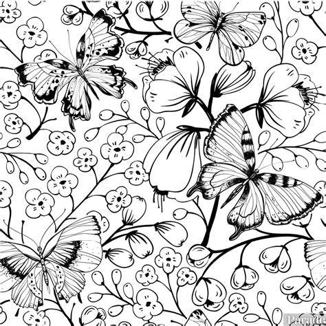 Coloring Pages For Adults Butterflies
