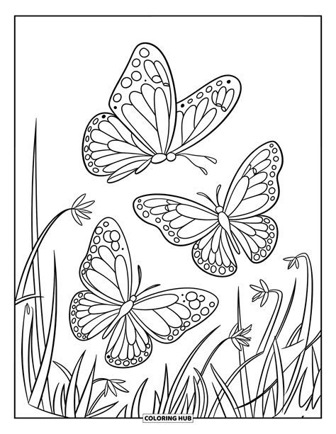 Coloring Pages For Adults Butterfly