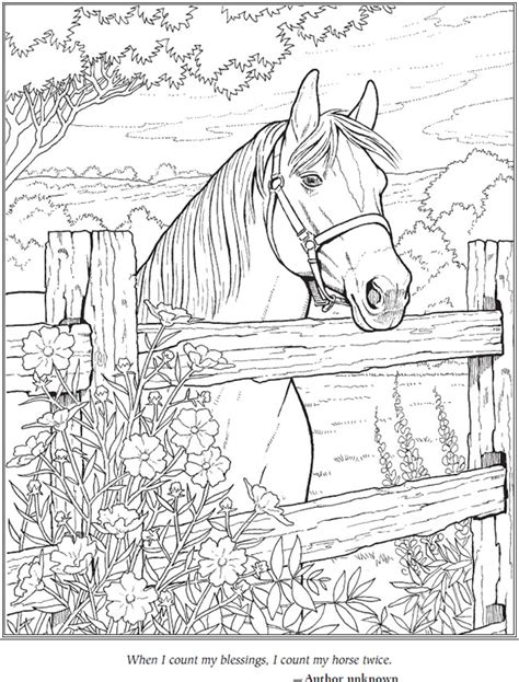 Coloring Pages For Adults Horses