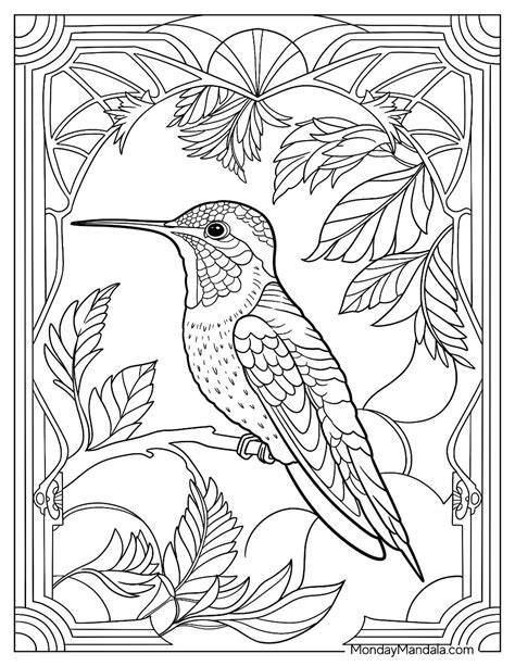 Coloring Pages For Adults Hummingbird