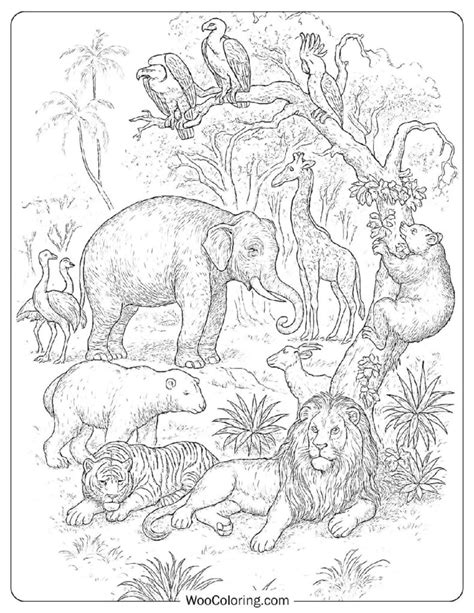 Coloring Pages For Adults Jungle Animals
