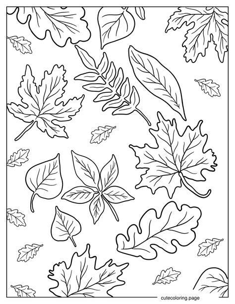 Coloring Pages For Fall Leaves