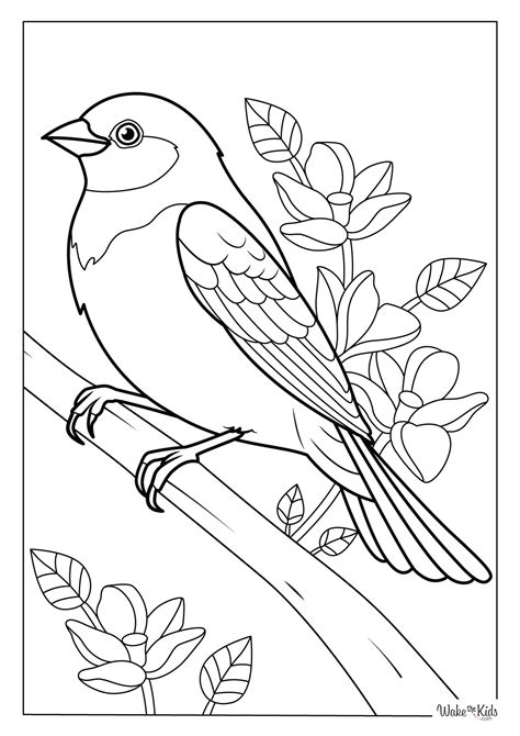 Coloring Pages For Kids Birds