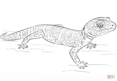 Coloring Pages Gecko