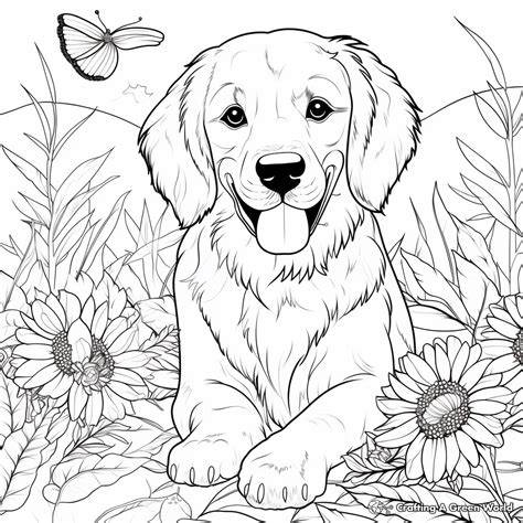 Coloring Pages Golden Retriever