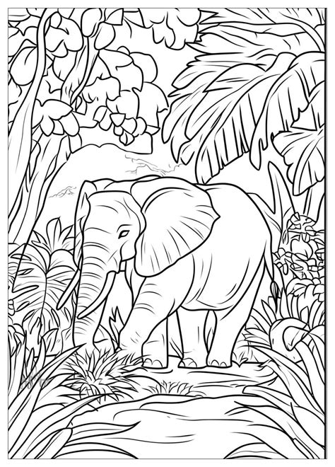 Coloring Pages Jungle