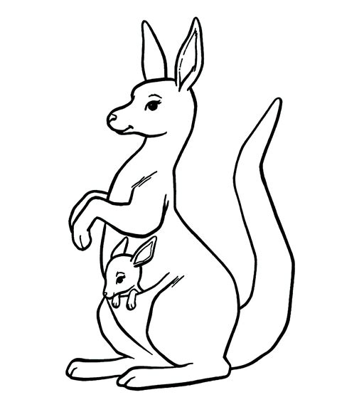 Coloring Pages Kangaroo