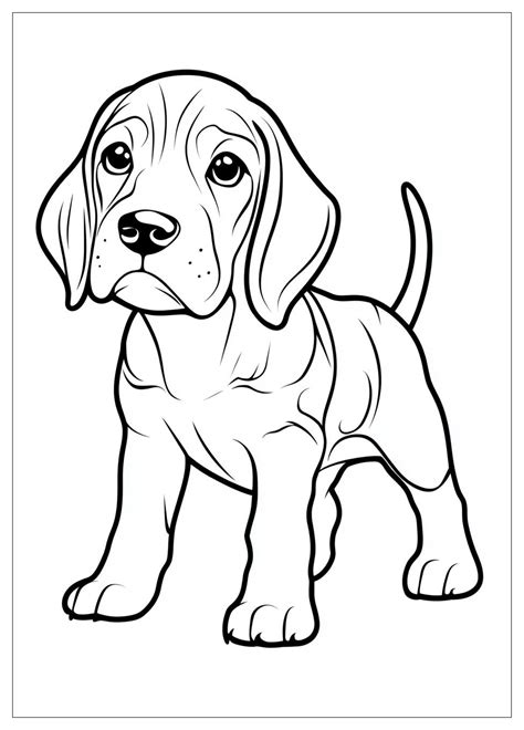 Coloring Pages Of A Beagle