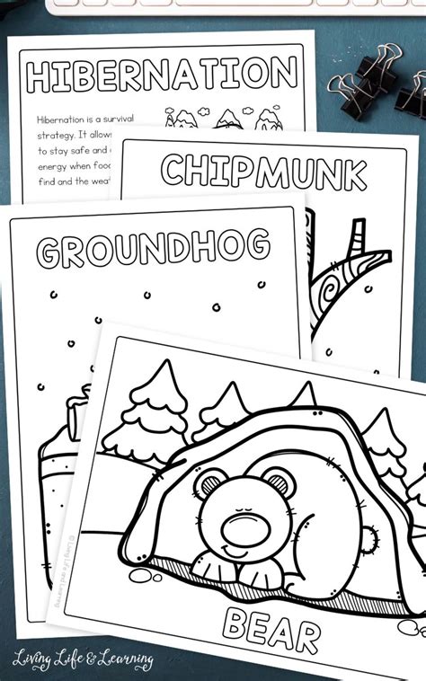 Coloring Pages Of Animals That Hibernate