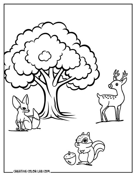 Coloring Pages Of Animals That Live In Trees