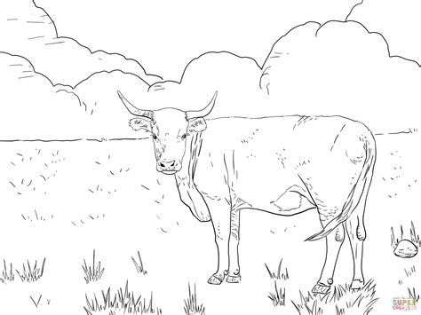 Coloring Pages Of Cattle
