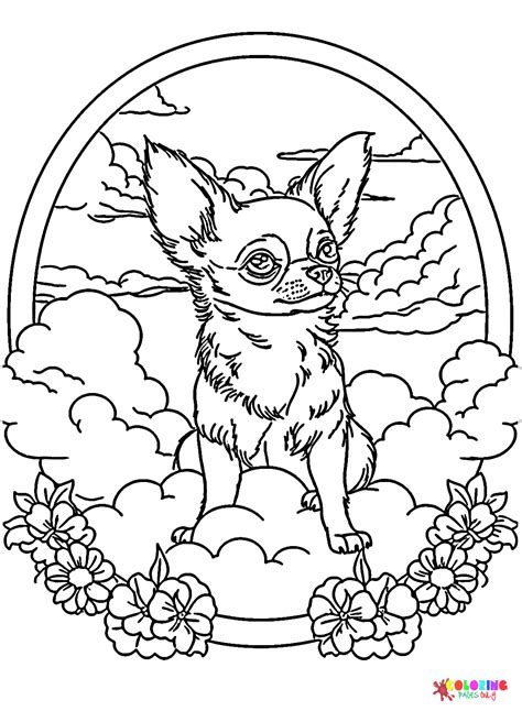 Coloring Pages Of Chihuahuas