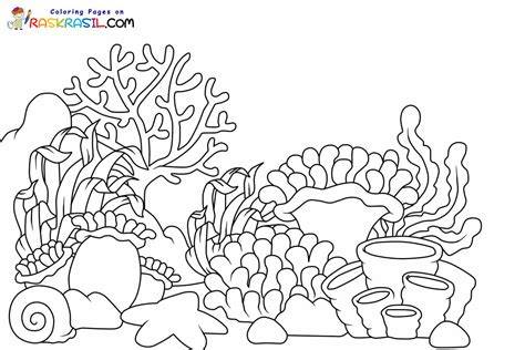Coloring Pages Of Coral