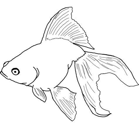 Coloring Pages Of Goldfish