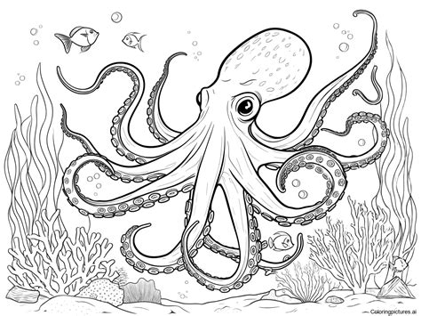 Coloring Pages Of Octopus