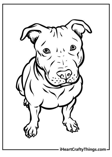 Coloring Pages Of Pitbull Dogs