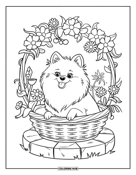 Coloring Pages Of Pomeranians