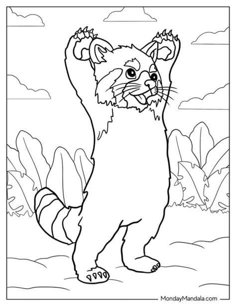 Coloring Pages Of Red Pandas