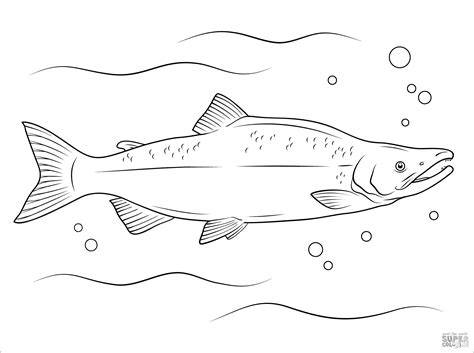 Coloring Pages Of Salmon