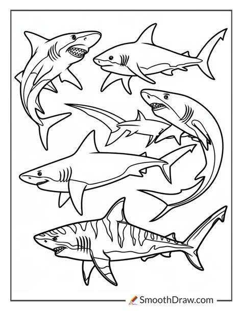 Coloring Pages Of Sharks