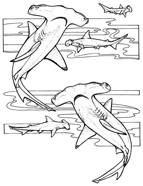 Coloring Pages Of Sharks Printable