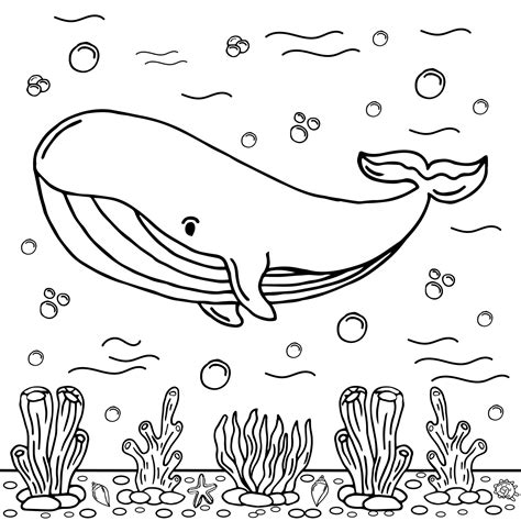 Coloring Pages Of Whales