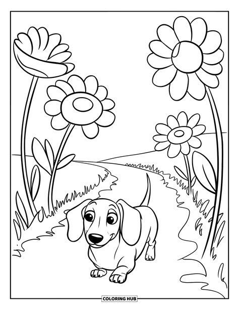 Coloring Pages Of Wiener Dogs