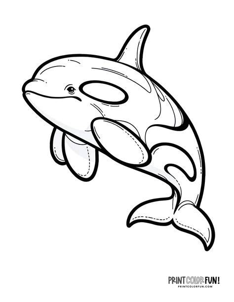 Coloring Pages Orca