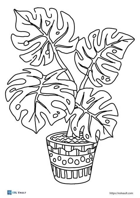 Coloring Pages Plant