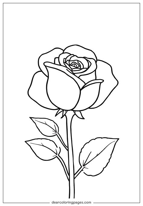 Coloring Pages Roses