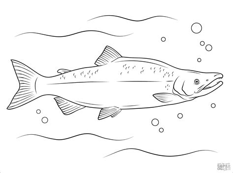 Coloring Pages Salmon