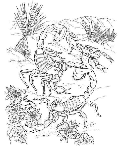 Coloring Pages Scorpion