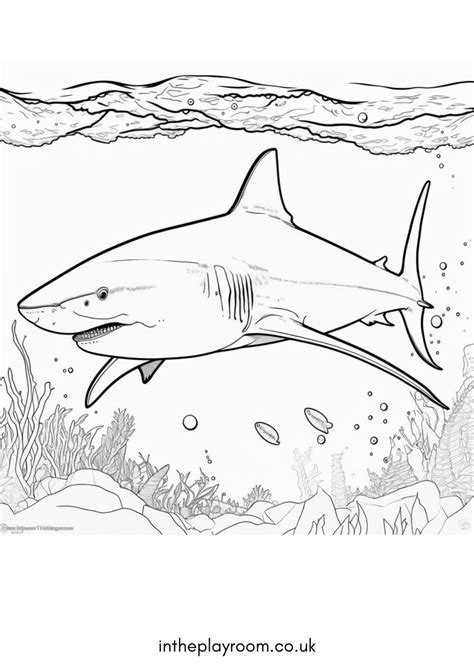 Coloring Pages Sharks