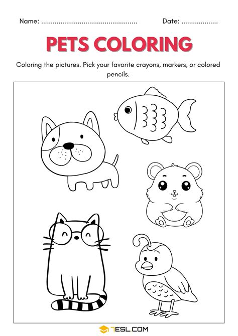 Coloring Pet Animals Worksheet For Kindergarten