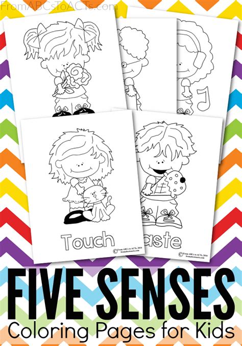 Set of 5 senses activities for kids
