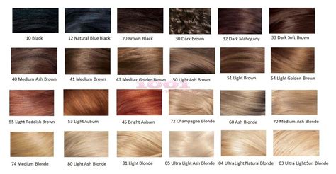 Mastering Shade Selection: Finding Your Perfect Colorsilk Match