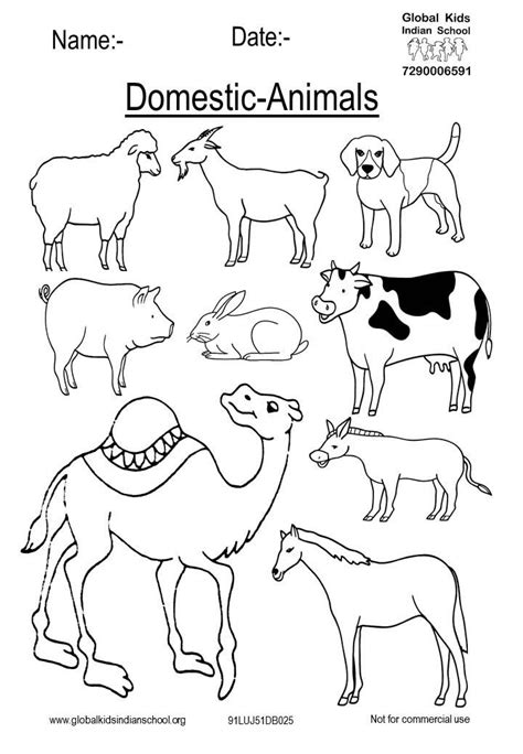 Colouring Worksheet Of Domestic Animals