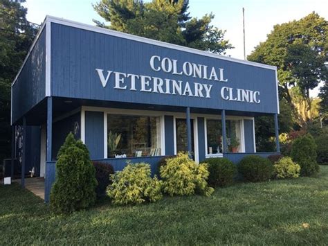Expert Veterinary Care for Your Beloved Pets at Colts Neck Animal Clinic