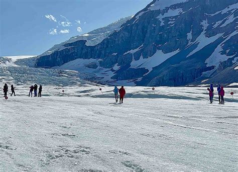 Columbia Icefield activities