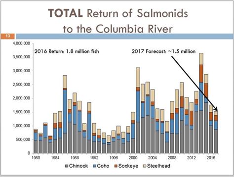 Columbia River Fish Count