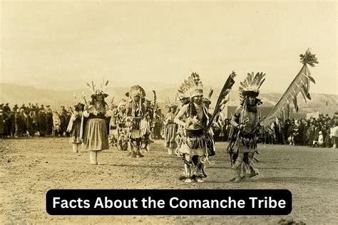 Comanche Indian Tribe Facts