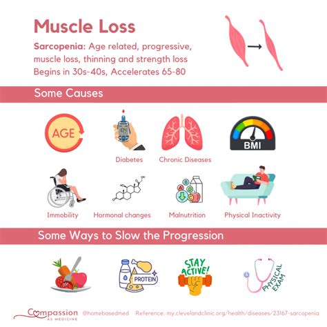 Combat Muscle Loss: Understanding Aging and Reversing the Effects
